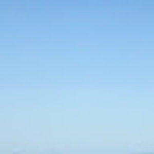 Meet your Posher, Nayelly